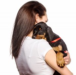 dobermann puppy being cuddled